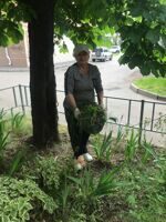 4 мая 2025 года в городском совете ветеранов прошёл субботник.